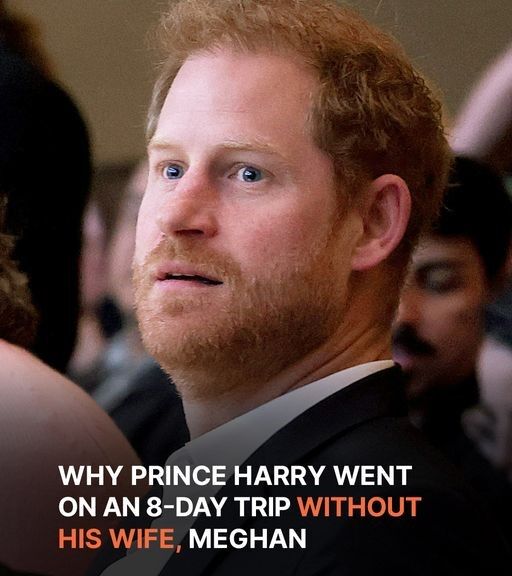 Prince Harry Went on an 8-Day Trip Without His Wife Meghan Markle – Here’s Why
